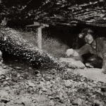 Kentucky Goes After Miners After Weakening OSHA