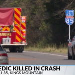 Occupational Fatalities: The Weekly Toll
